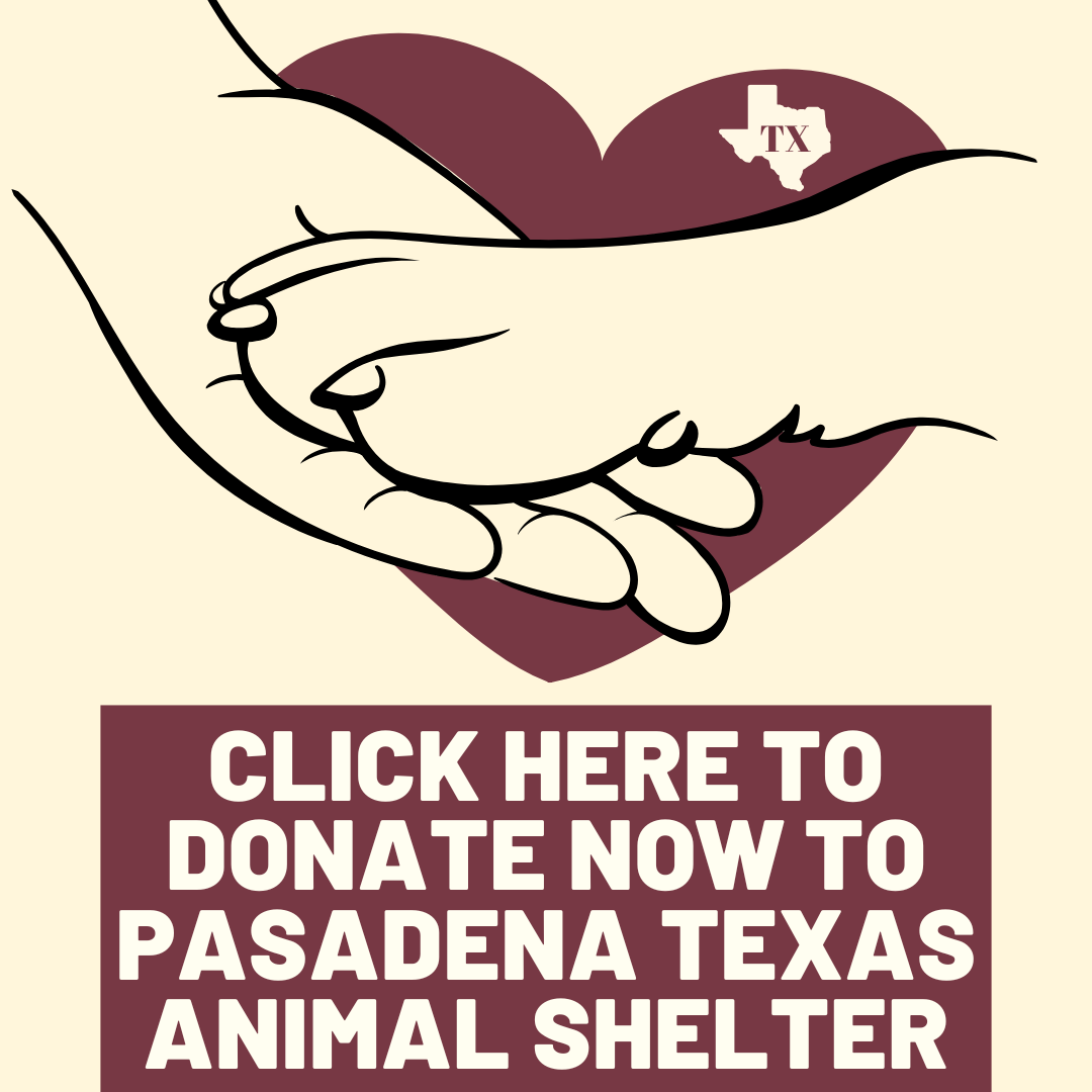 Social Media Graphic Designs (1)